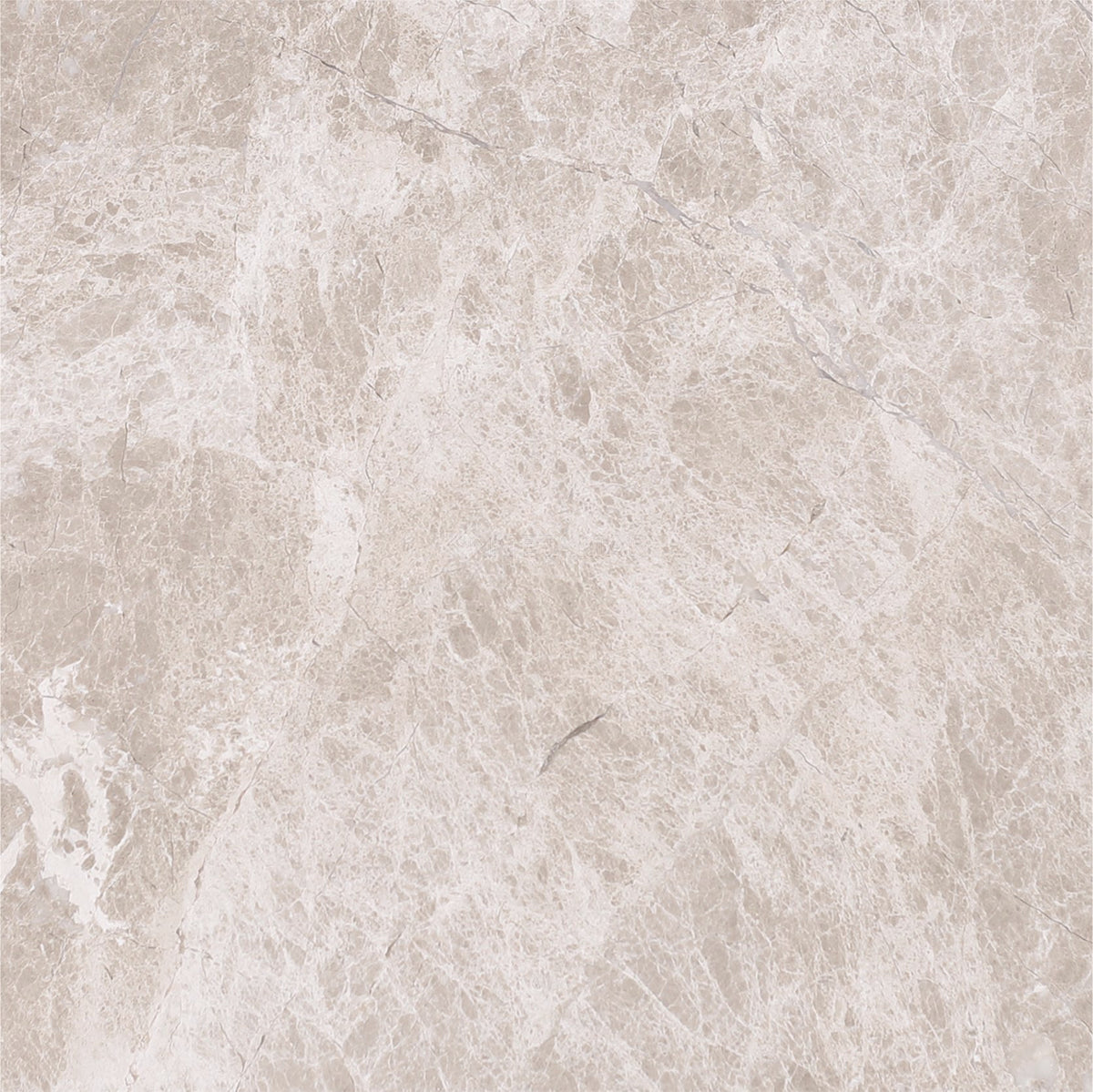 Kalahari 8&#39;&#39; x 8&#39;&#39; Tile