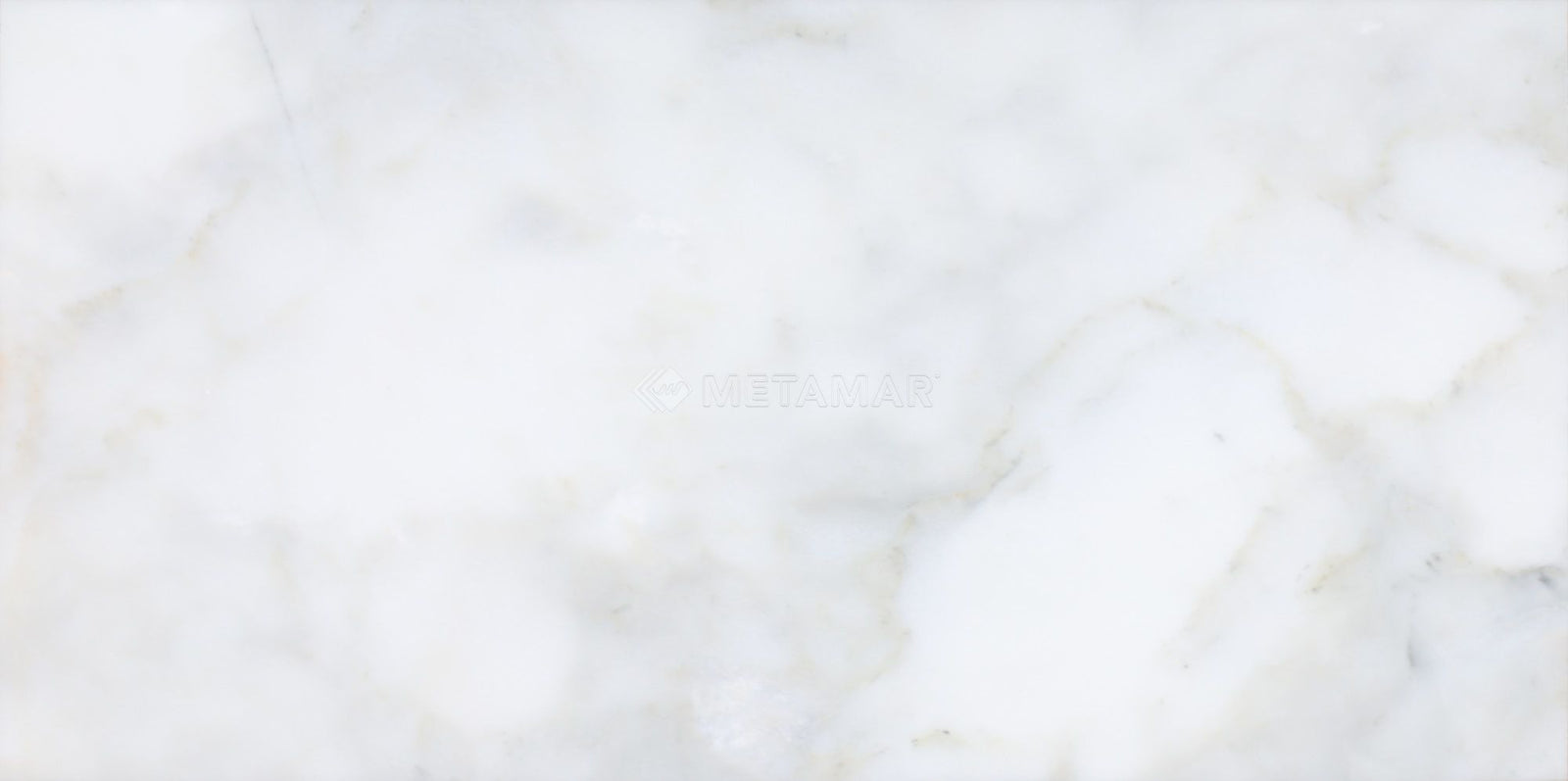 Calacatta Vida Tile