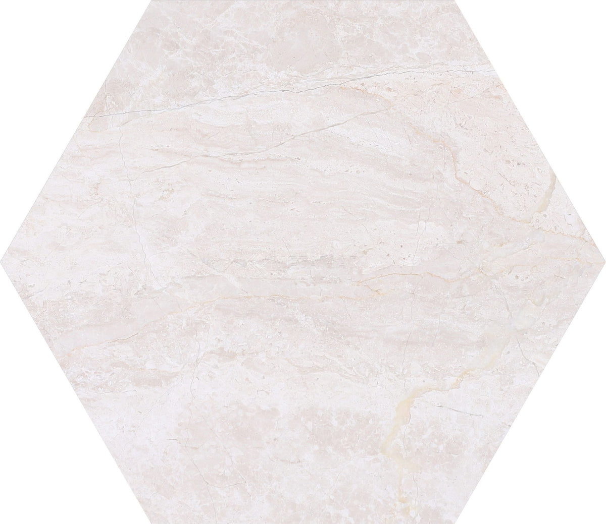 Papillon Hexagon 10'' Tile