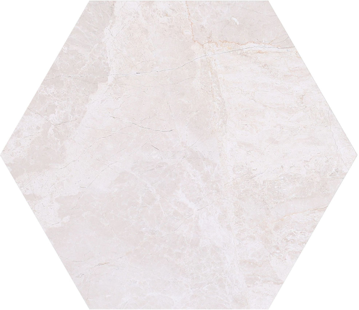 Papillon Hexagon 8'' Tile