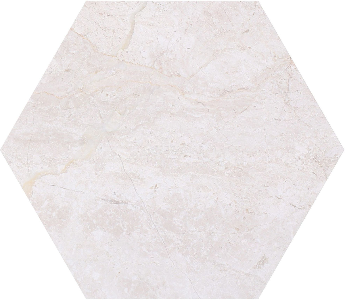 Papillon Hexagon 8'' Tile