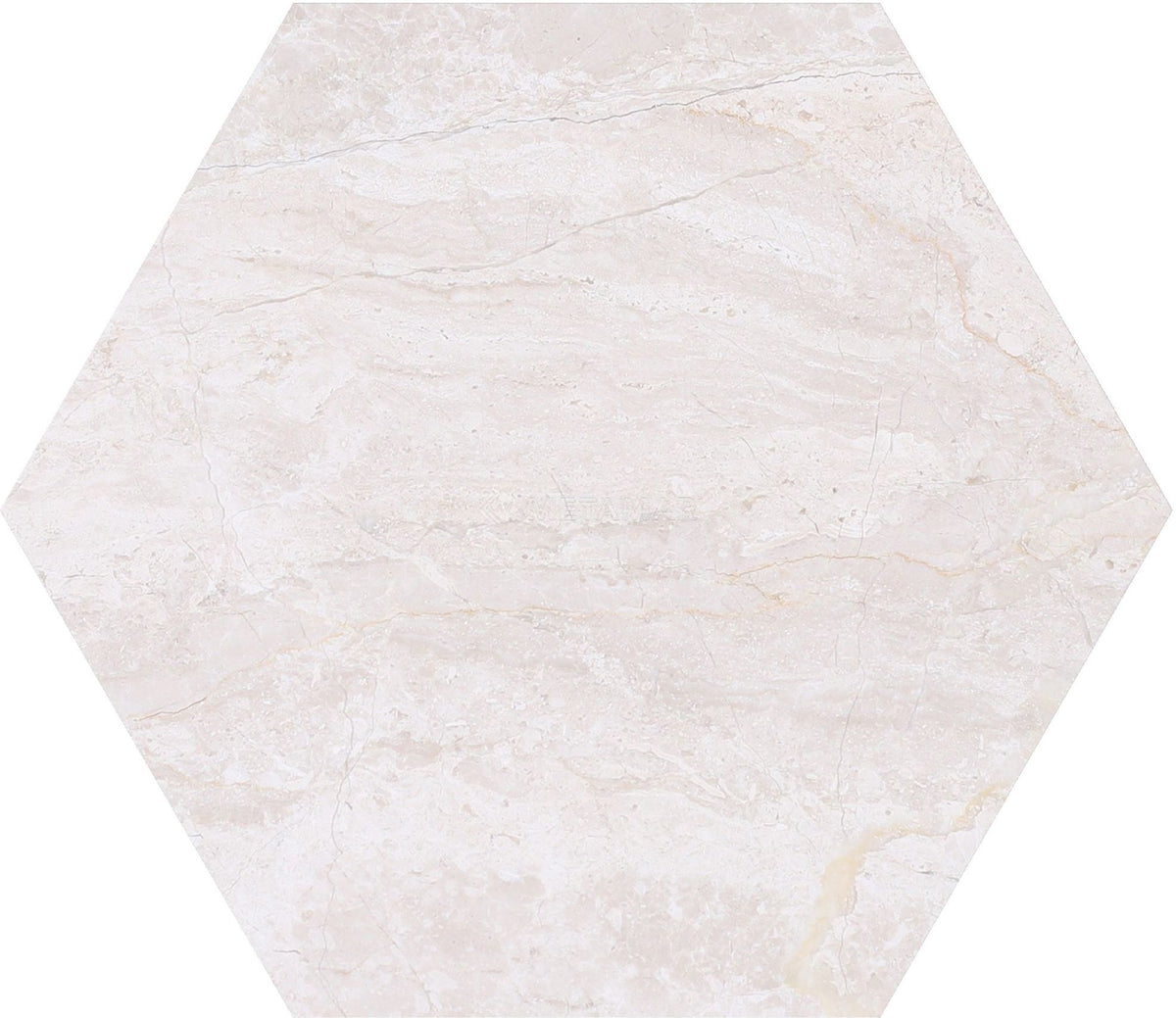 Papillon Hexagon 8'' Tile