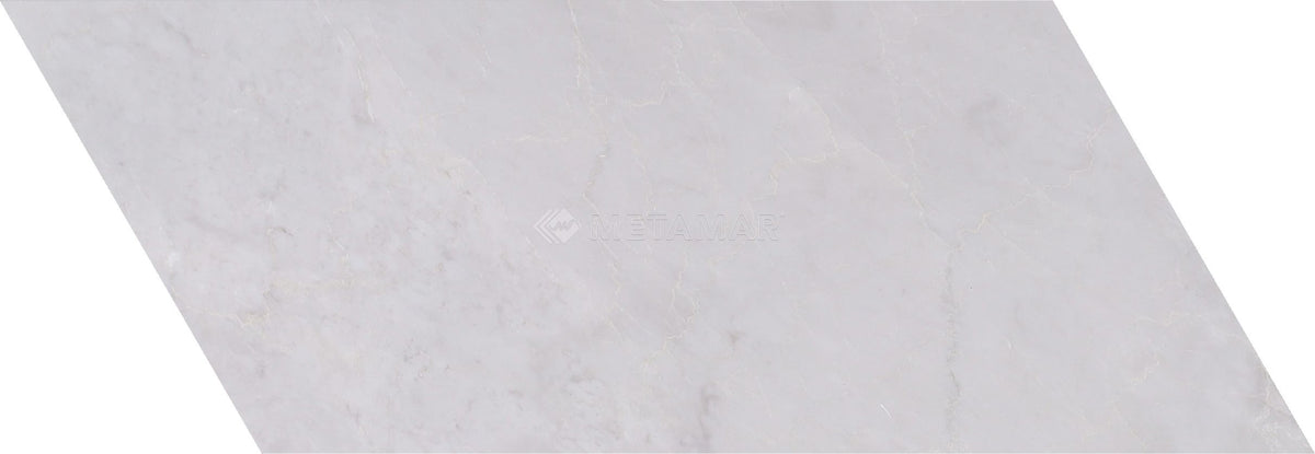 Ice Grey Swan Tile