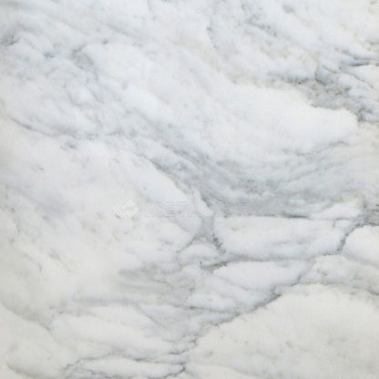 Calacatta Vida - Metamar Marble